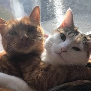 Meet your Posher, Carrianne